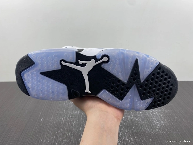 Rep Reverse CT8529-112 Oreo Air Jordan 6 0807